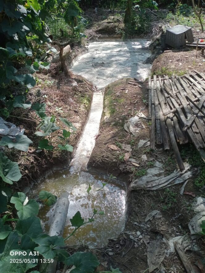 
					DLH Tulang Bawang Barat Diduga Berkolusi dengan Pengusaha Lapak Karet