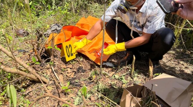 
					Warga Temukan Tengkorak Manusia Diduga Diterkam Harimau di Lampung Barat