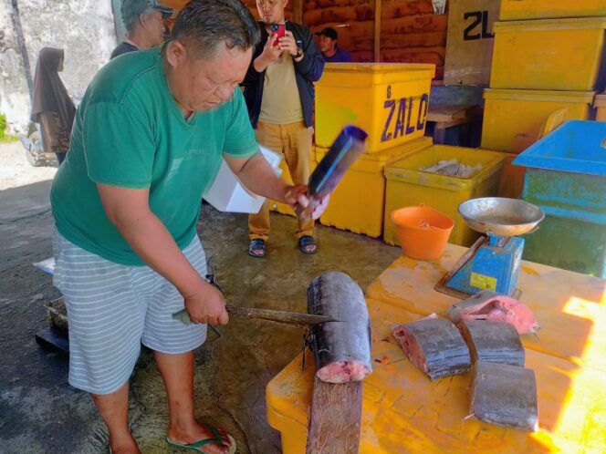 
					Musim Tangkap Blue Marlin: Tuhuk Jadi Primadona di Pesisir Barat Lampung