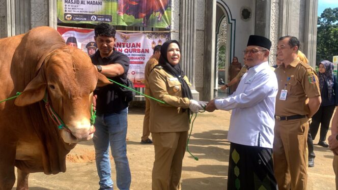 
					Pemkot Bandar Lampung Serahkan Hewan Kurban Bantuan Presiden di Ponpes Madarijul ‘Ulum