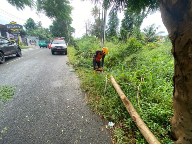 
					EVAKUASI BATANG POHON PATAH