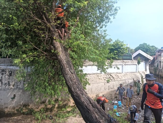 
					EVAKUASI PEMANGKASAN DAN PENEBANGAN POHON